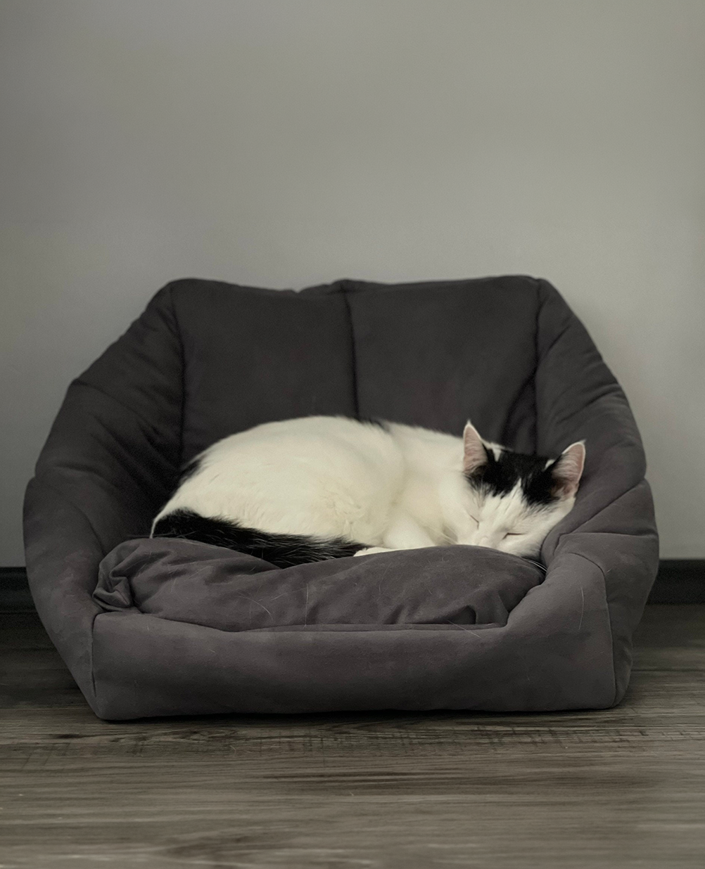 Котешко легло кубче