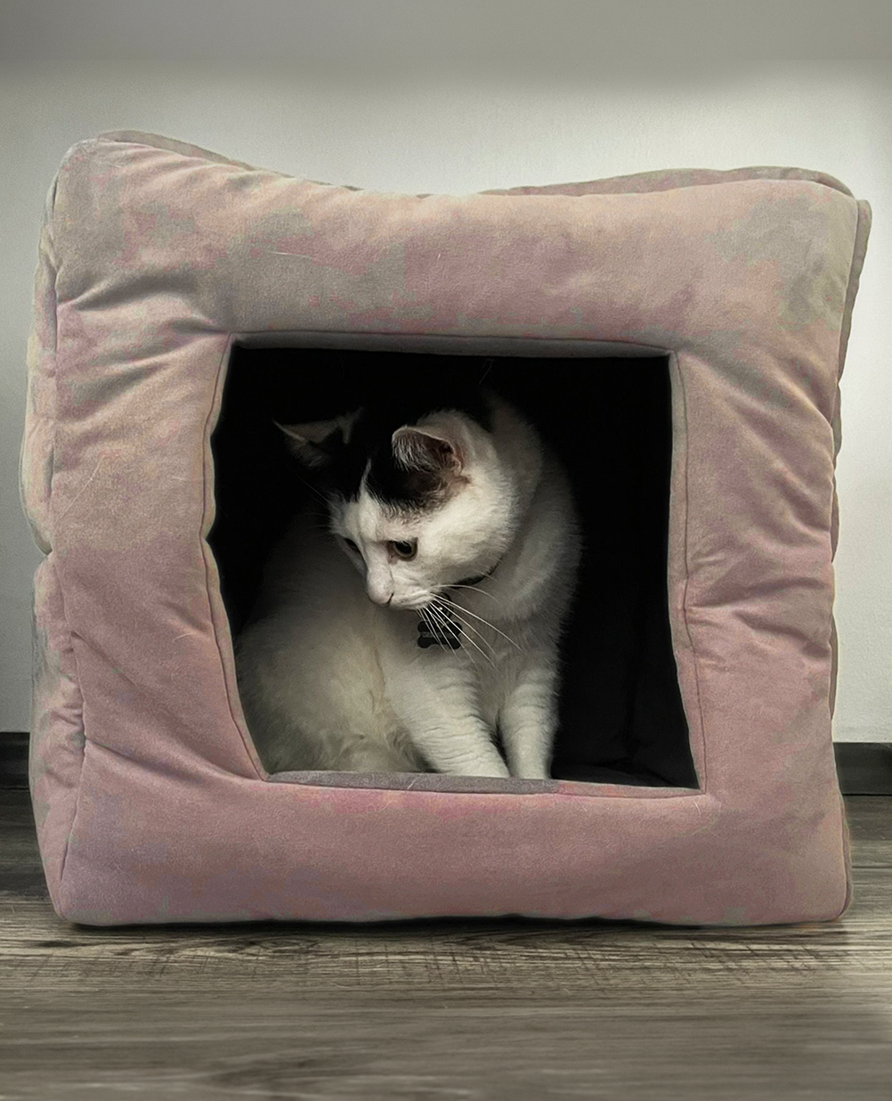 Котешко легло кубче